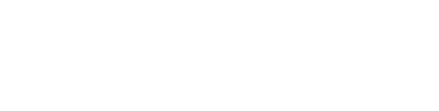 NanoDefense