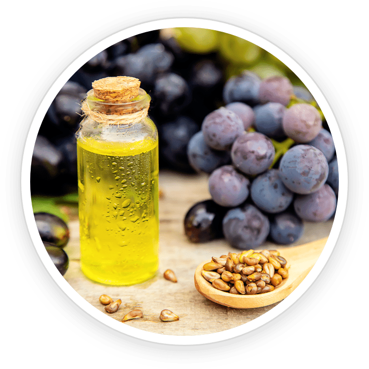 Grape Seed Extract