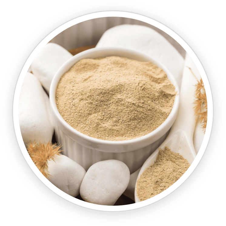 Silk Protein Powder