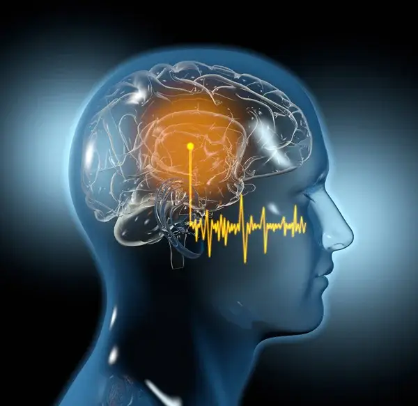 Brain and Ear Connection