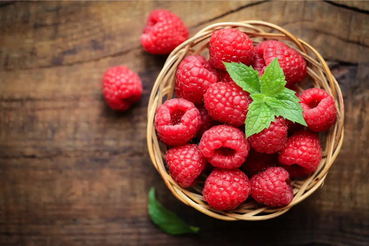 Raspberry Ketones