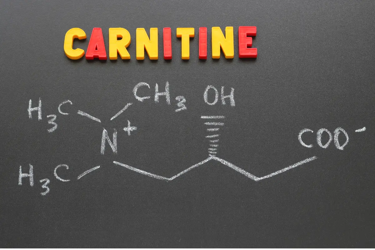 Carnitine