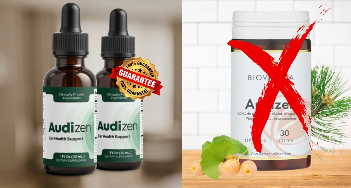 Official AudiZen vs Imitations