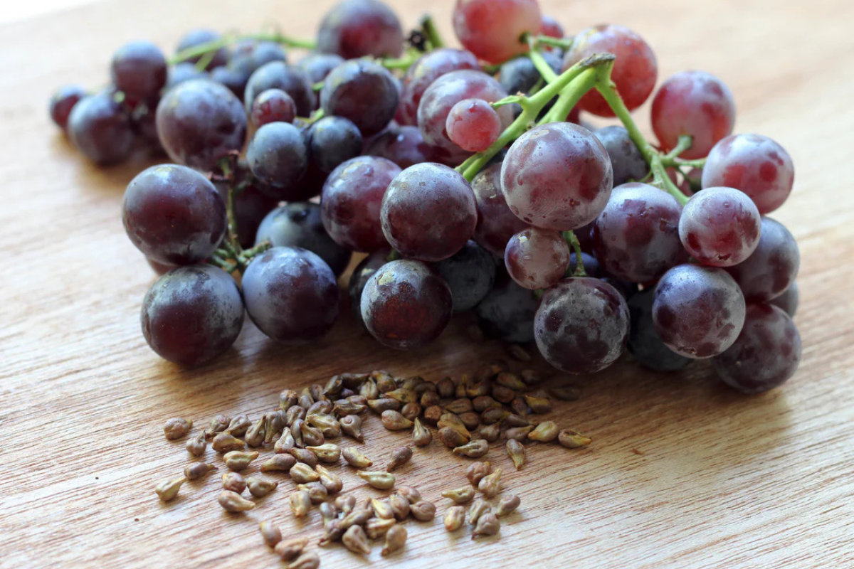 Grape Seed Extract