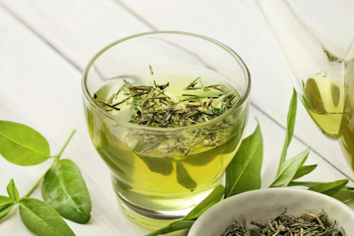 Green Tea Extract
